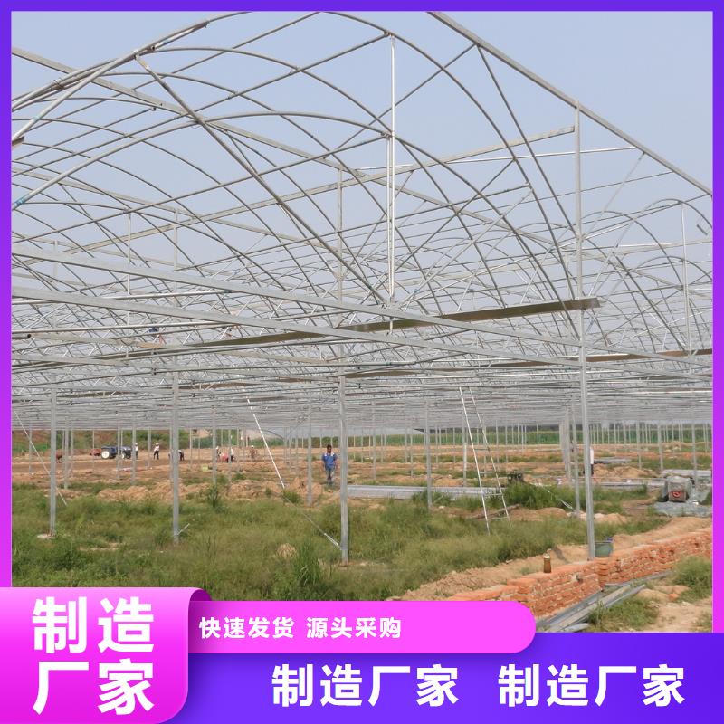 連體大棚用鍍鋅管 批發本地制造商