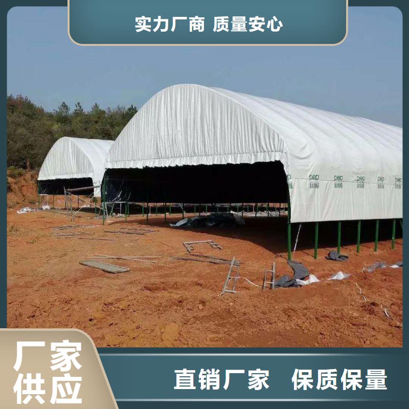 【大棚管2连栋温室搭建打造行业品质】【当地】货源