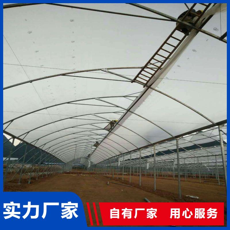 清苑區暖棚實力廠家高質量高信譽