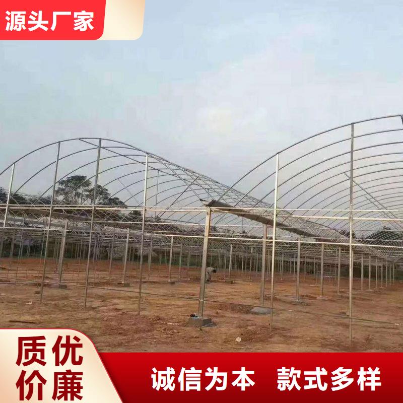 清苑區草莓大棚管折彎價格本地公司