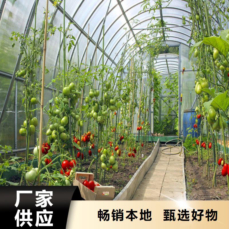 大棚管2,農業養殖大棚管價格實在本地制造商