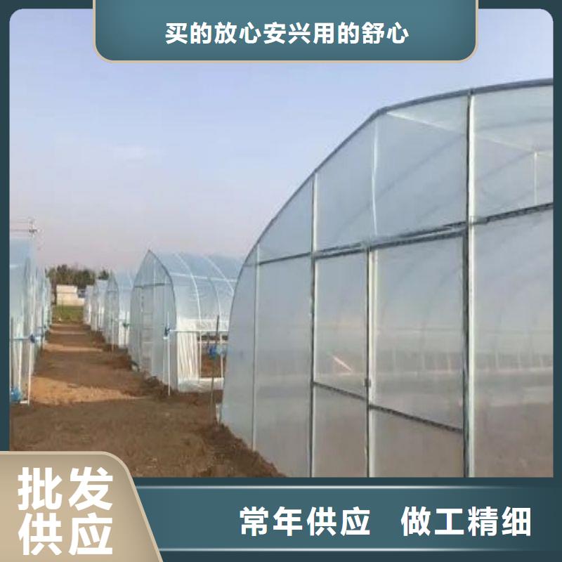 蓮池區簡易溫室咋買當地廠家