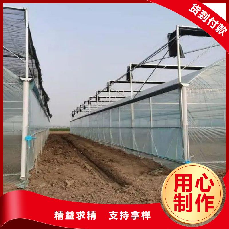 青原縣圓管大棚下單同城供應商