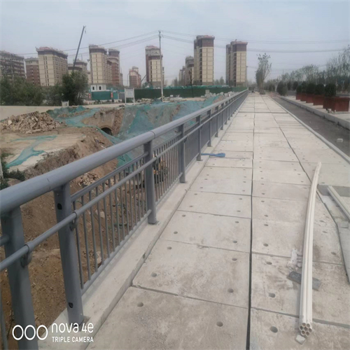 大橋河道景觀橋梁護欄-精選廠家本地配送
