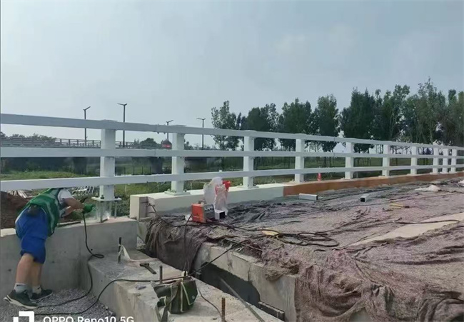 护栏支持定制量大从优