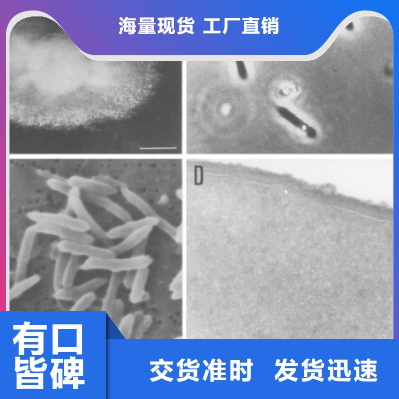 培养菌种碳源生产厂家支持拿样