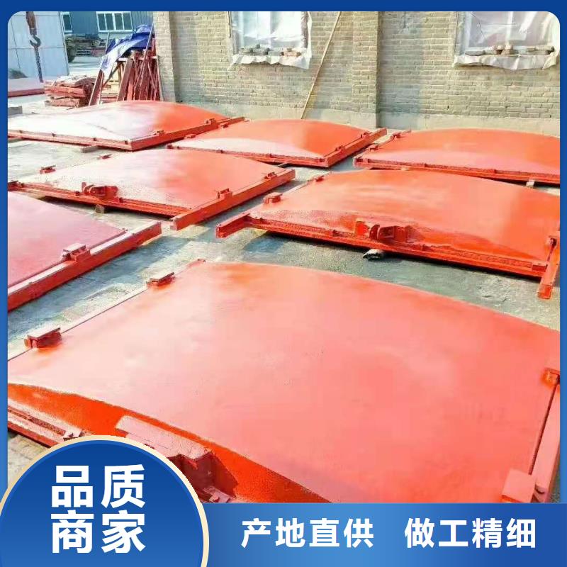 手提铸铁闸门可定制本地服务商