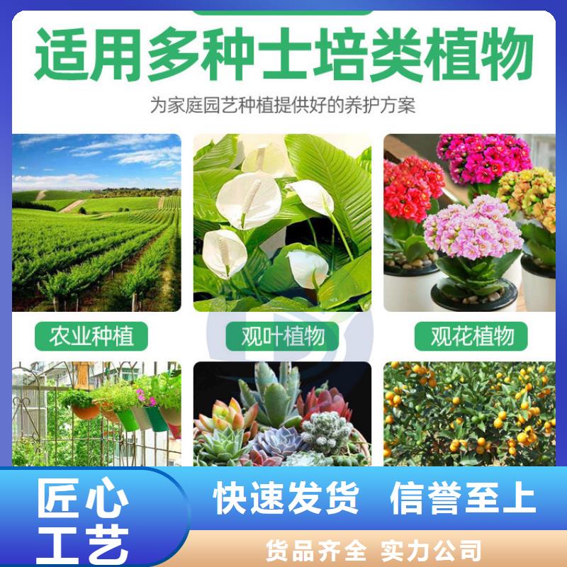 烘干硫酸亞鐵專業(yè)配送廠家現(xiàn)貨批發(fā)