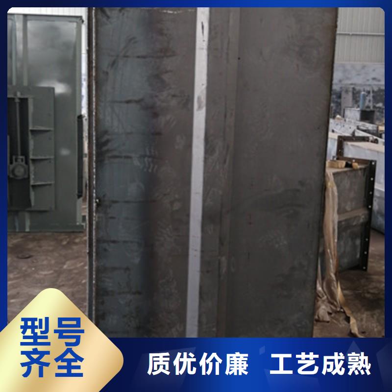 TH圓環(huán)鏈型斗式機(jī)實體廠家運(yùn)城