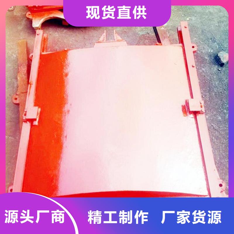 铸铁闸门不锈钢闸门多行业适用当地服务商