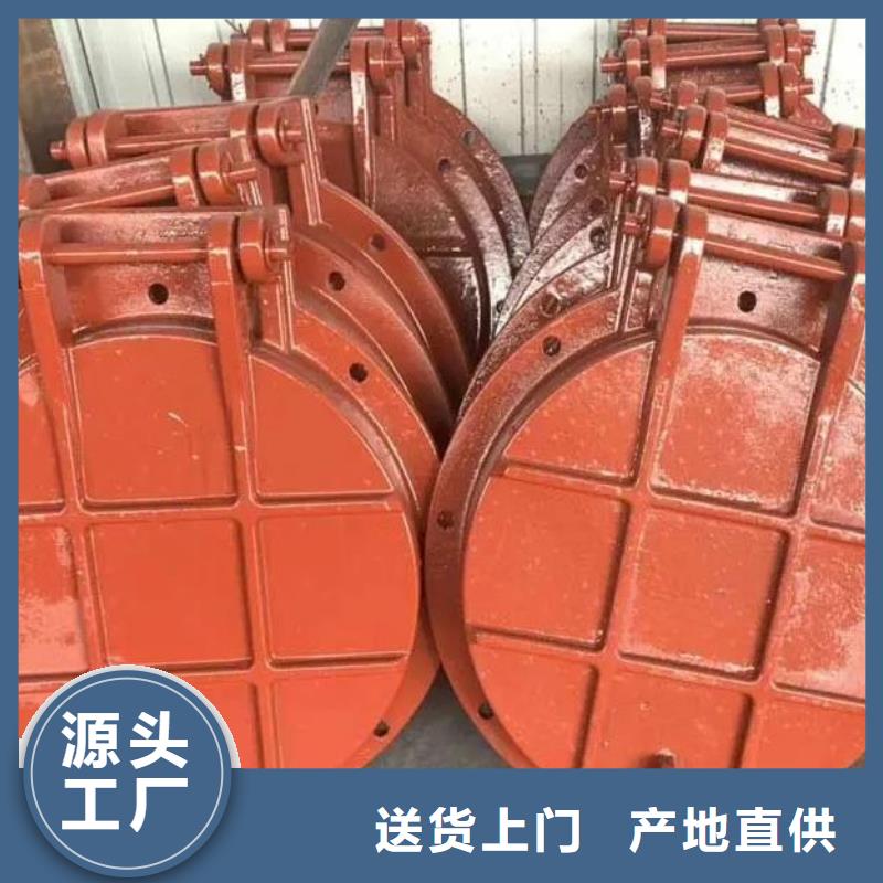 拍門鑄鐵閘門好產品價格低今年新款