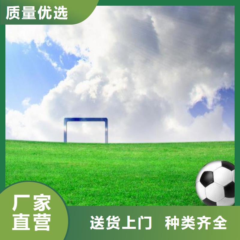 硅PU球場廠家_誠信為本廠家銷售
