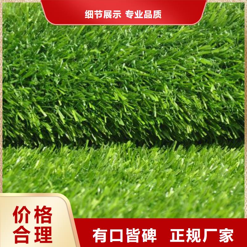 供應(yīng)質(zhì)量好的人造草坪的生產(chǎn)廠家本地服務(wù)商