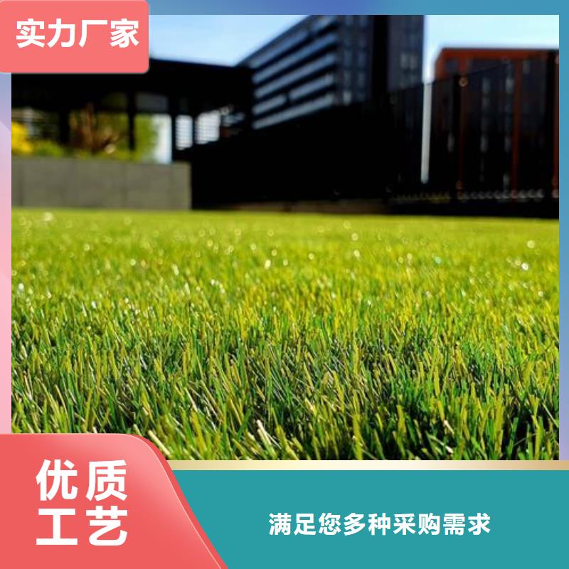 人造草坪仿真草坪優質供貨商高性價比