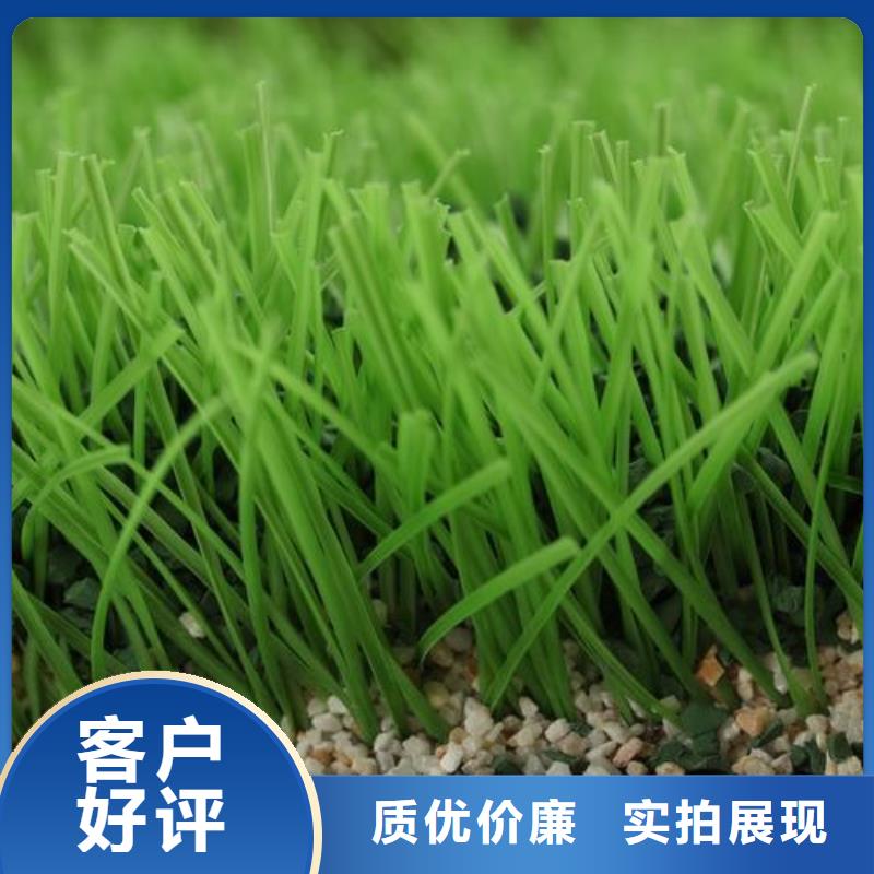 PVC地板廠家業內好評品質之選