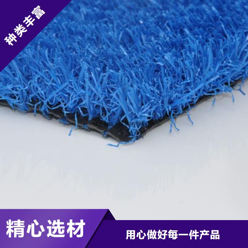 口碑好的人造草坪門球場供貨商當(dāng)?shù)亟?jīng)銷商
