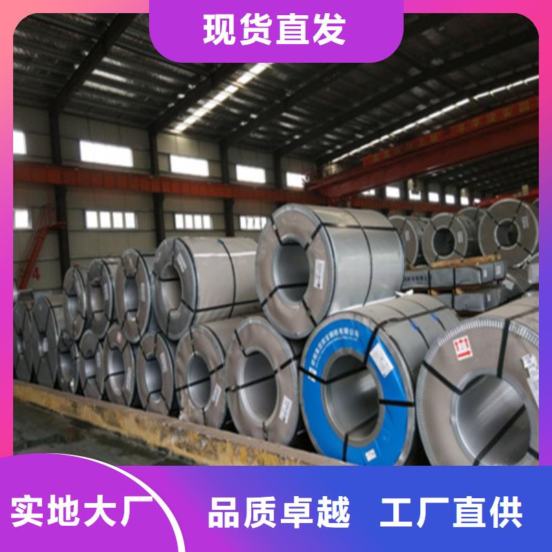 廠家批量供應耐指紋電解板DC05E+Z