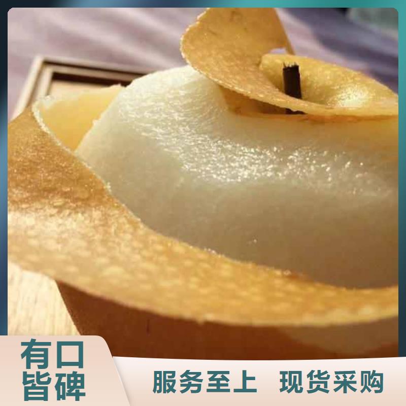 秋月梨樹苗種植時(shí)間當(dāng)?shù)胤?wù)商