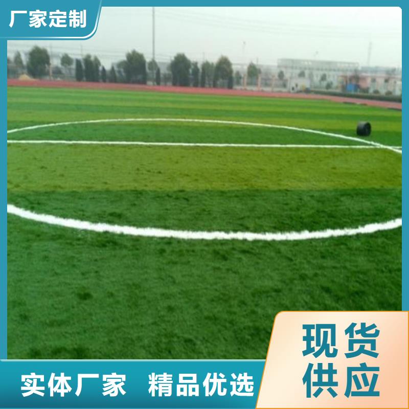 人造草坪_健身步道質(zhì)優(yōu)價(jià)廉質(zhì)量好