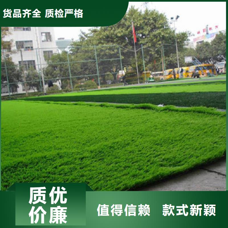 江蘇常州市溧陽市幼兒園仿真草坪安裝