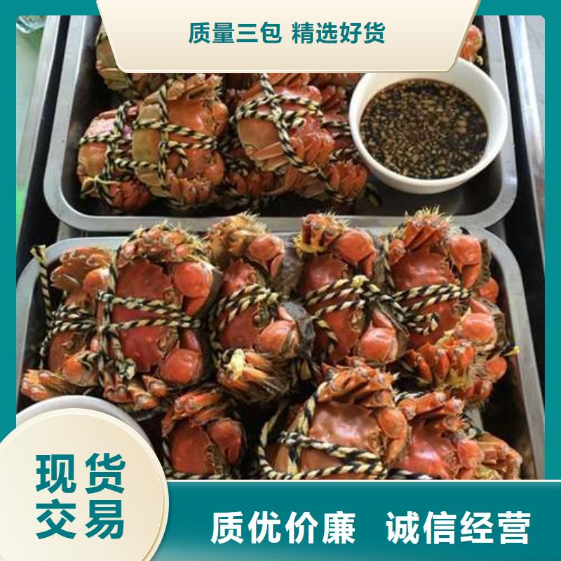 陽澄湖大閘蟹出廠報價性能穩定