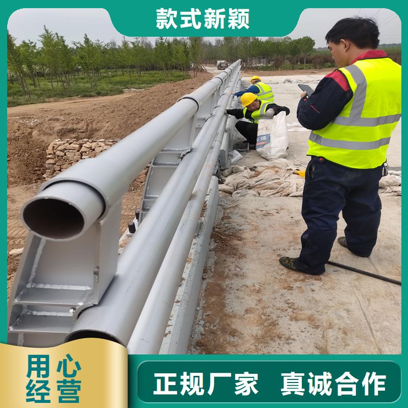 護欄城市景觀防護欄按需定制好廠家有擔當
