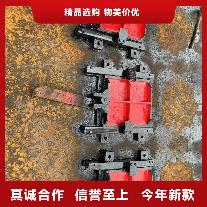 啟閉機閘門-附壁式雙向止水鑄鐵閘門高品質(zhì)本地服務商