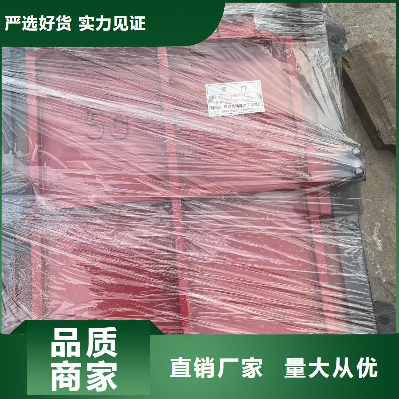 高水位止水鑄鐵閘門當地經銷商