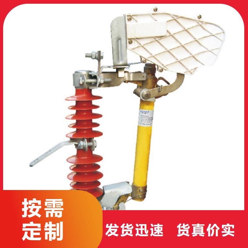 熔斷器高壓隔離開(kāi)關(guān)廠家技術(shù)先進(jìn)本地制造商