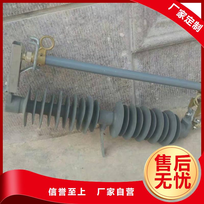 跌落式熔斷器_RW12-15F/100A現(xiàn)貨滿足大量采購