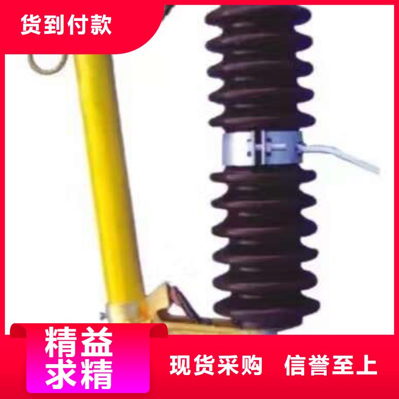 防风型跌落式熔断器HGRW-35KV/200批发商