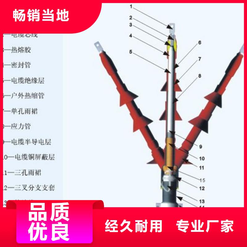 〖陽江戶內熱縮電纜終端頭RSNY-1/3-24KV