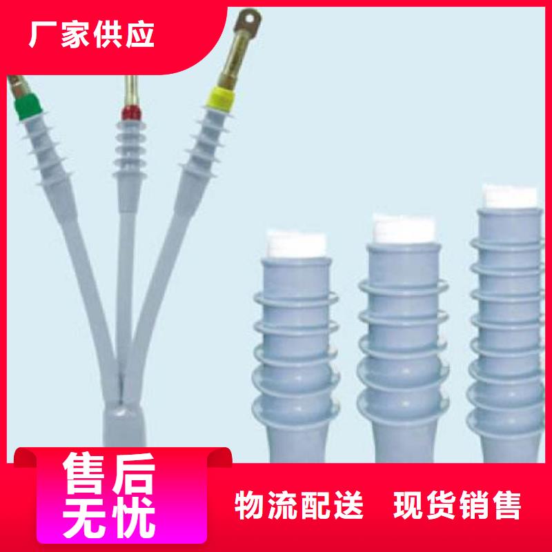 -RSNY-1/4-20KV同城供應商