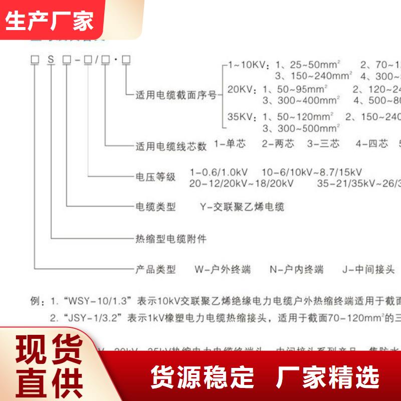 〖陽江戶內熱縮電纜終端頭RSNY-1/3-24KV