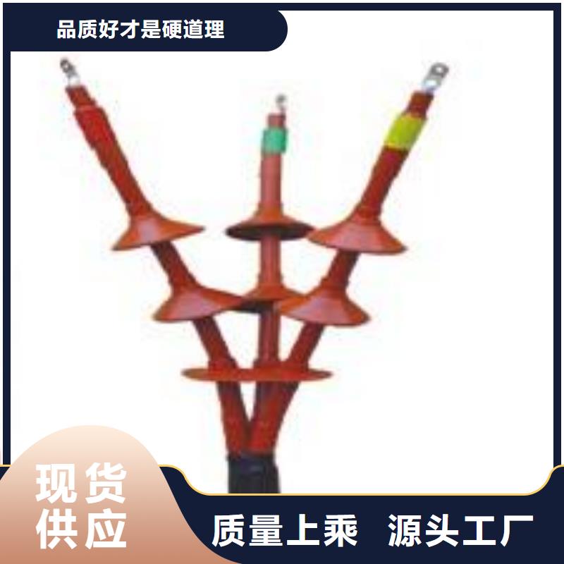 〖保定RSNY-3/3-10KV電纜終端頭