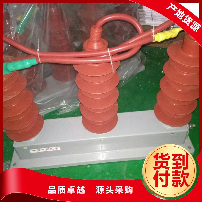 【四川】〖過電壓保護器〗TBP-Y-B/6-T組合過電壓保護器 工廠直銷