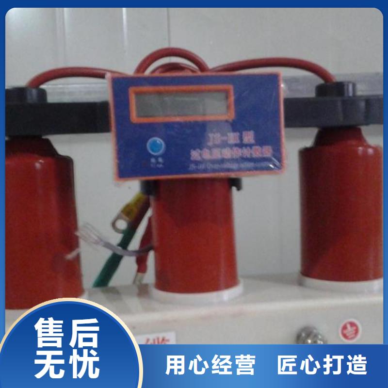 【組合式過電壓保護器】TBP-B-10.5/131