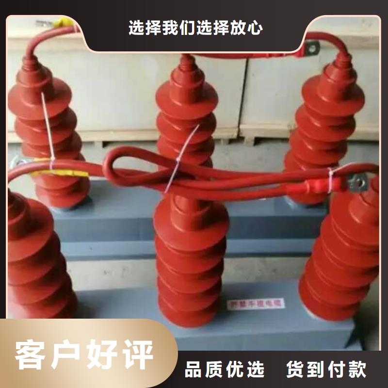 【】保護器(組合式避雷器)TBF-B-12.7F/131-J當地生產商