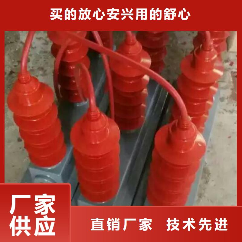 【黑龍江】TBP-W-B/10-T組合過電壓保護器