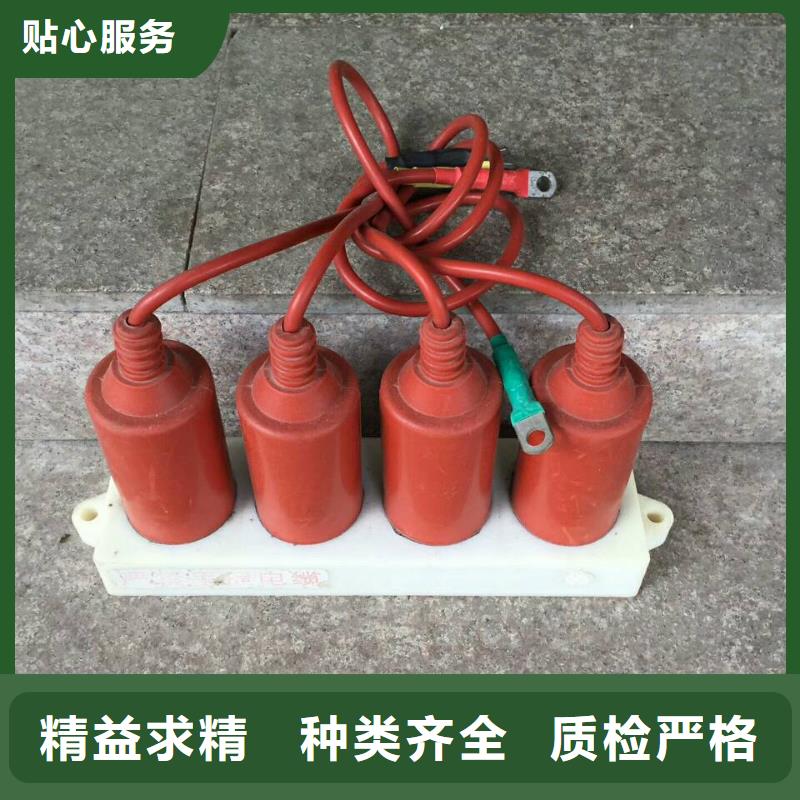 【白沙縣】〖過電壓保護器〗HTB-D-12.7KV/85-N質量保證當地制造商