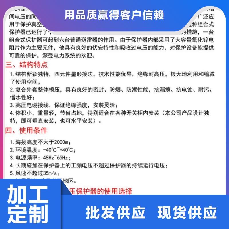 【徐州】〖過電壓保護器〗TBP-C-10.5/131 歡迎訂購