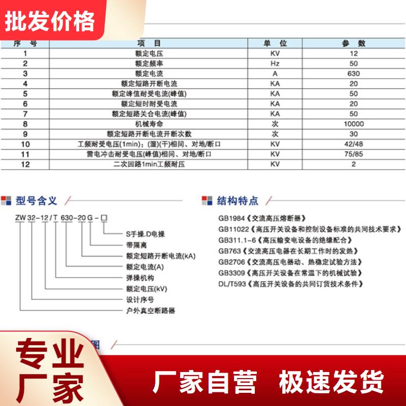 【斷路器】ZW32-12/630-25柱上高壓真空斷路器經驗豐富品質可靠