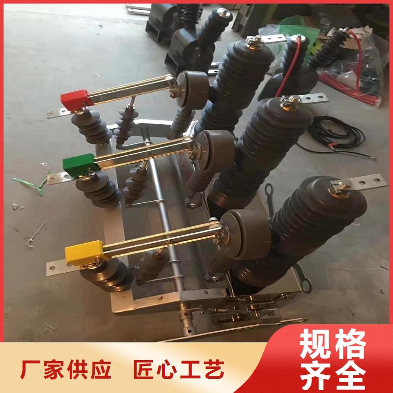 永磁斷路器ZW32-12/M630-20