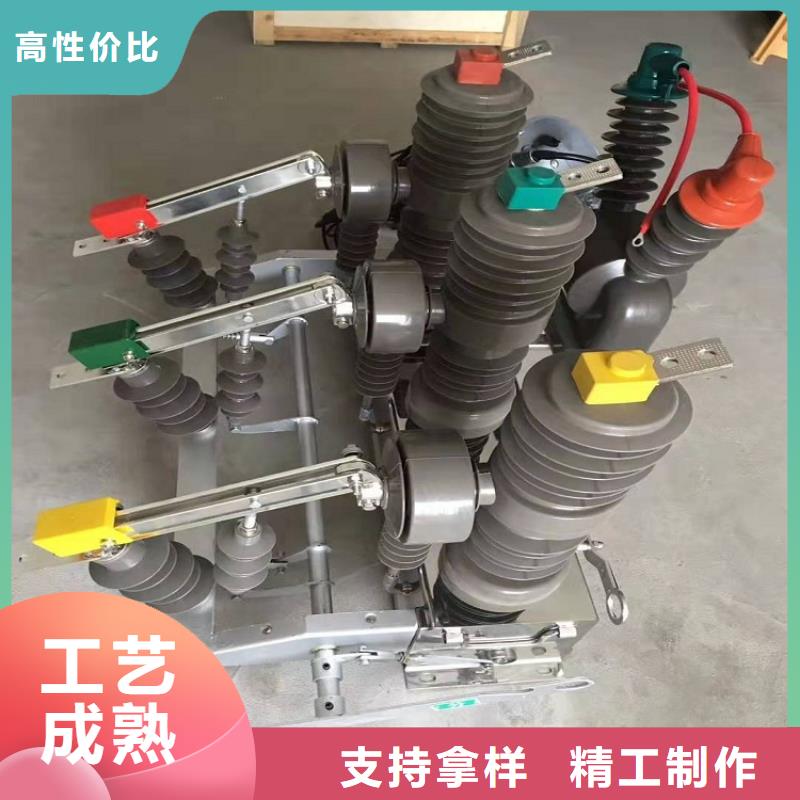 真空斷路器ZW32-12G/T630-20