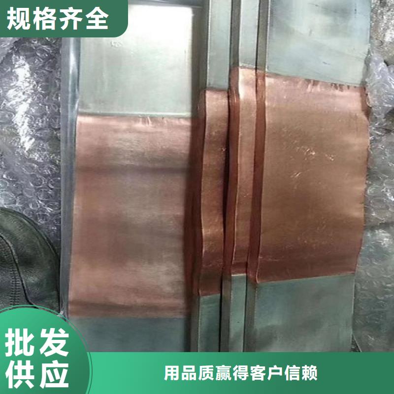 【陵水縣】鍍錫(搪錫) 銅排8*100