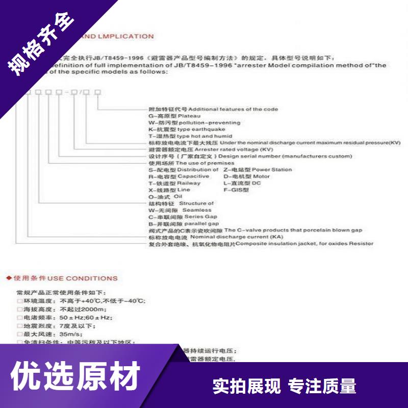 氧化鋅避雷器Y10W-100/260【浙江羿振電氣有限公司】