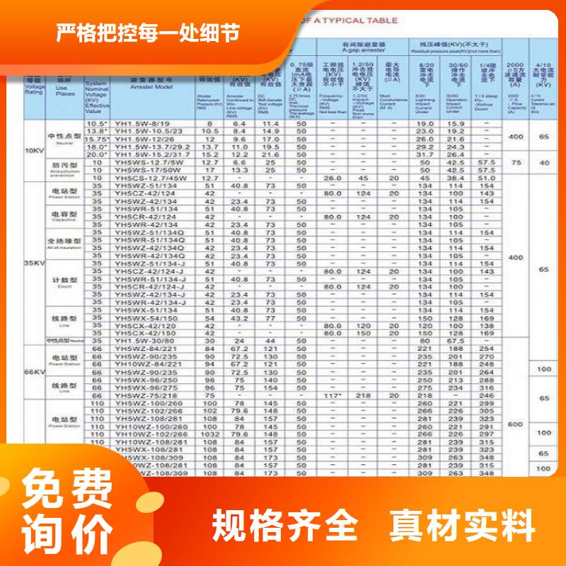江蘇_【避雷器】Y5W1-100/260GY