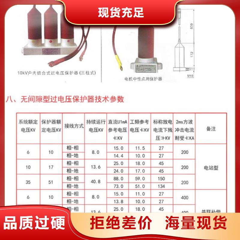 【过电压保护器/组合式避雷器】TBP-B-42F/630W质量优价格低