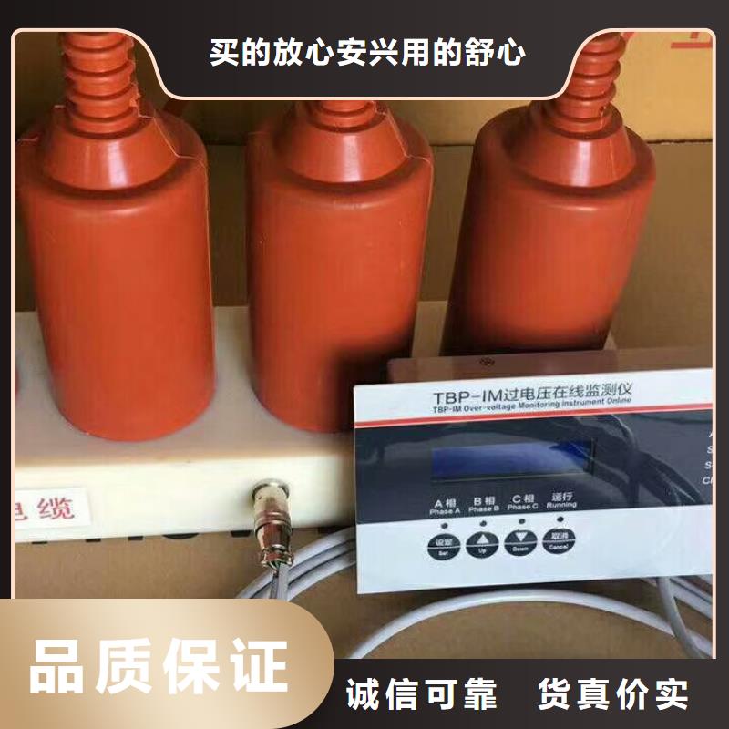 羿振電氣牌:TBP-B-7.6F/131-J-過電壓保護器 避雷器生產廠家