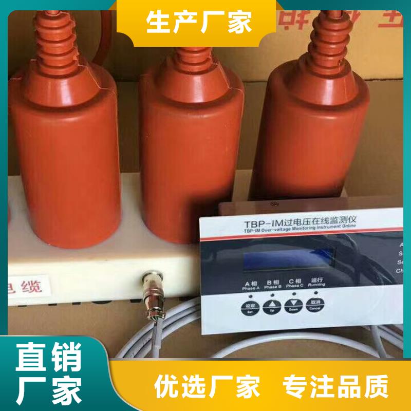 【羿振電力設備】過電壓保護器TBP-A-42F/400W